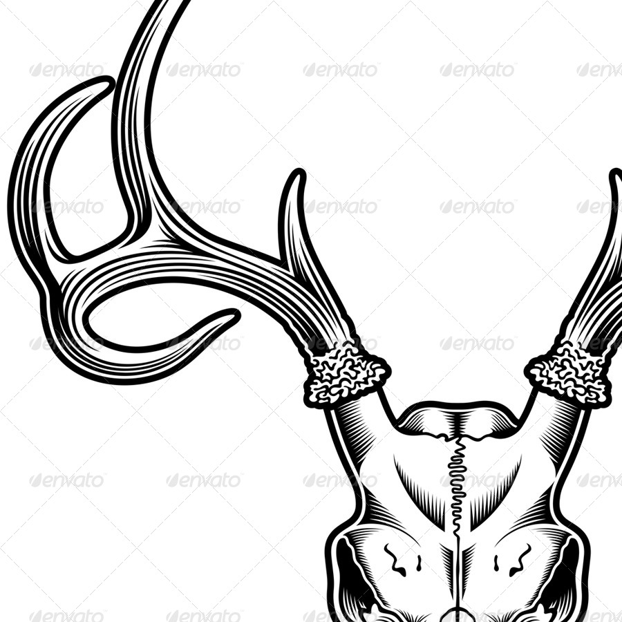 900x900 Deer Skull Vector