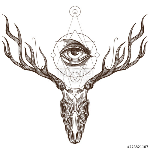 500x500 Sketch Of Deer Skull And All Seeing Eye Stock Image And Royalty