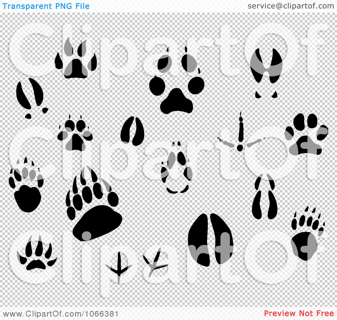 1080x1024 Clipart Animal Tracks