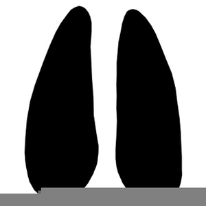 300x300 Deer Tracks Clipart Free Images