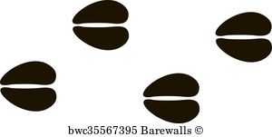 300x151 Deer Tracks Posters And Art Prints Barewalls