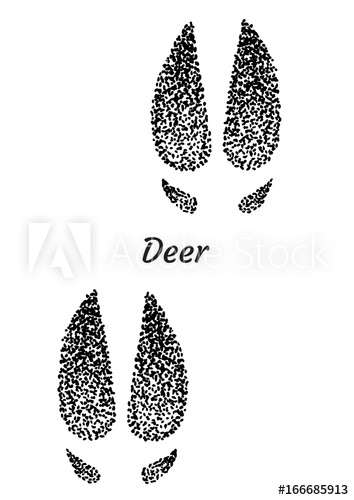 354x500 Deer Footprint Illustration, Drawing, Engraving, Ink, Line Art