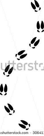 153x470 Moose Tracks Clipart