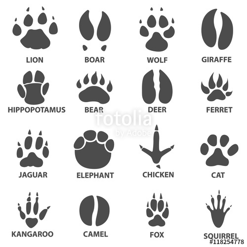 Deer Tracks Vector at Vectorified.com | Collection of Deer Tracks ...