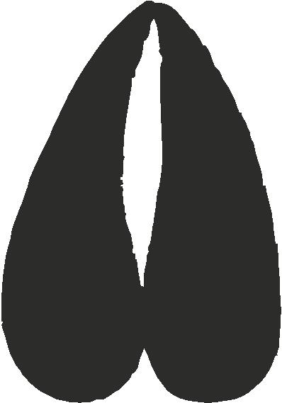 398x569 Pics Of Deer Tracks