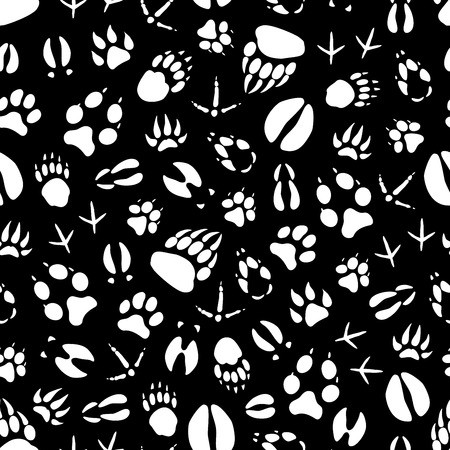 450x450 Animals And Birds Footprints Seamless Pattern Vector Tracks
