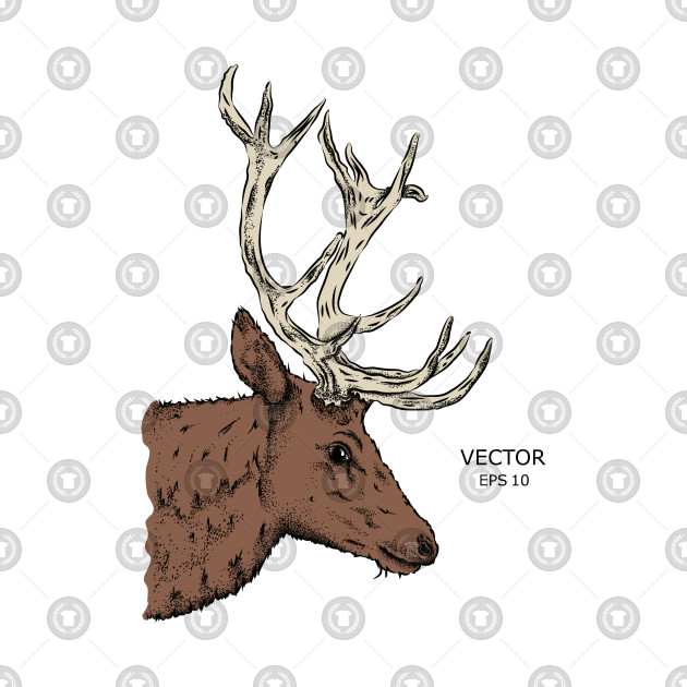 630x630 Portrait Deer Vector