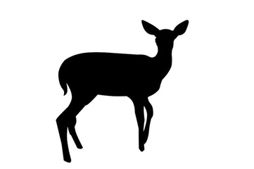 361x240 Deer Vector Photos, Royalty Free Images, Graphics, Vectors