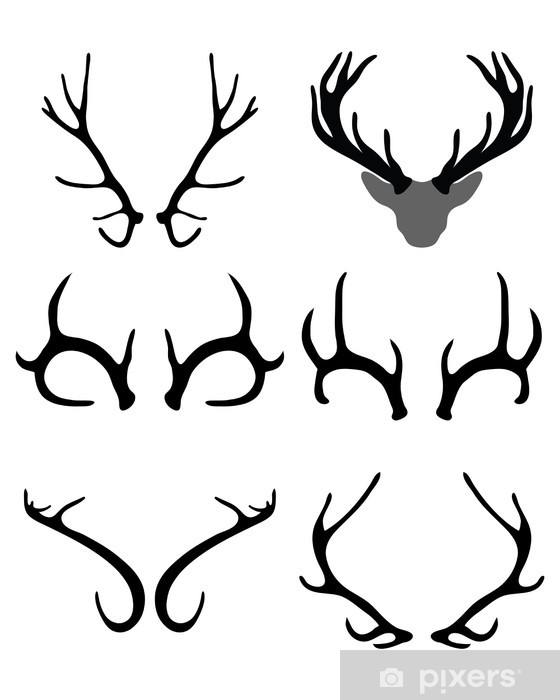 560x700 Black Silhouettes Of Horns Of Deer Vector Wall Mural Pixers