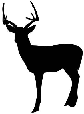 294x400 Why Do I Feel Like Having This Free Vector Deer Is Going To Come