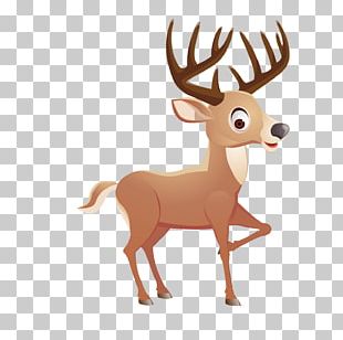 310x308 Deer Vector Png Images, Deer Vector Clipart Free Download