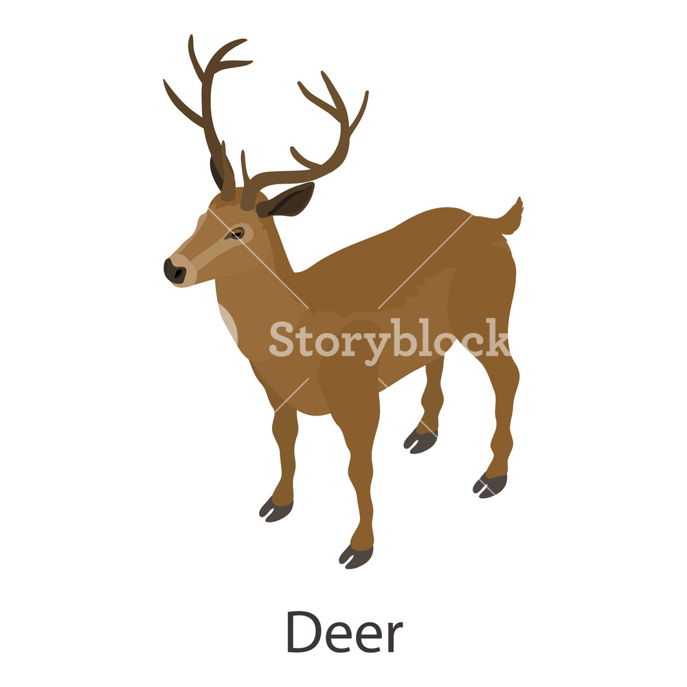 1000x1000 Deer Icon Isometric Illustration Of Deer Vector Icon For Web