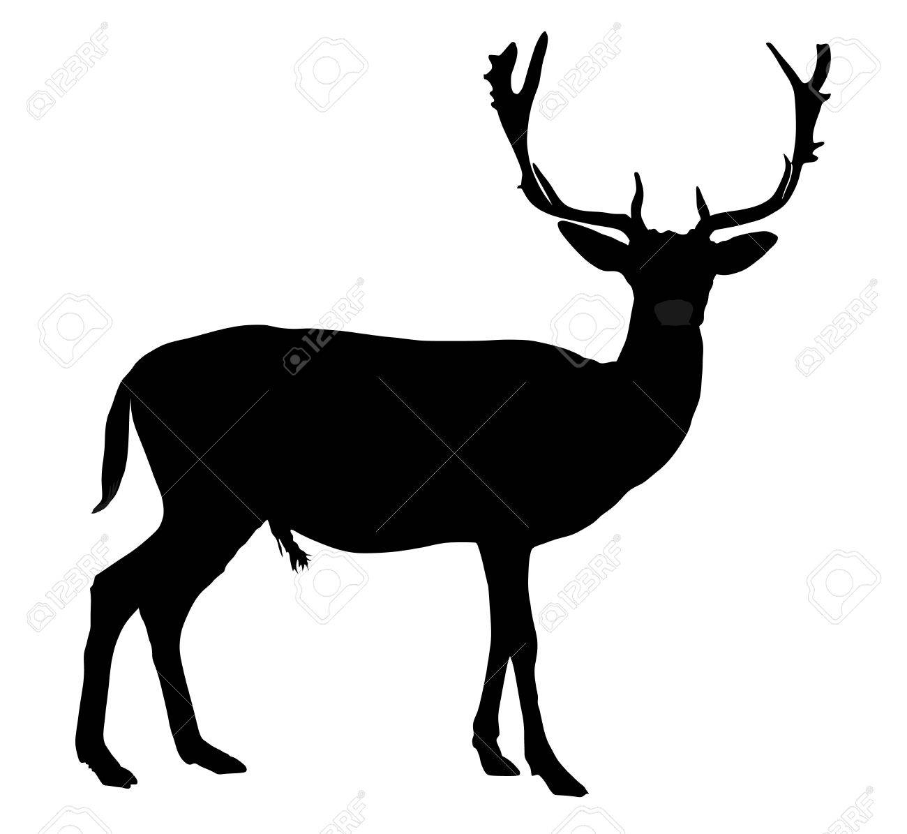 1300x1195 Huge Collection Of 'deer Vector Silhouette' Download More Than