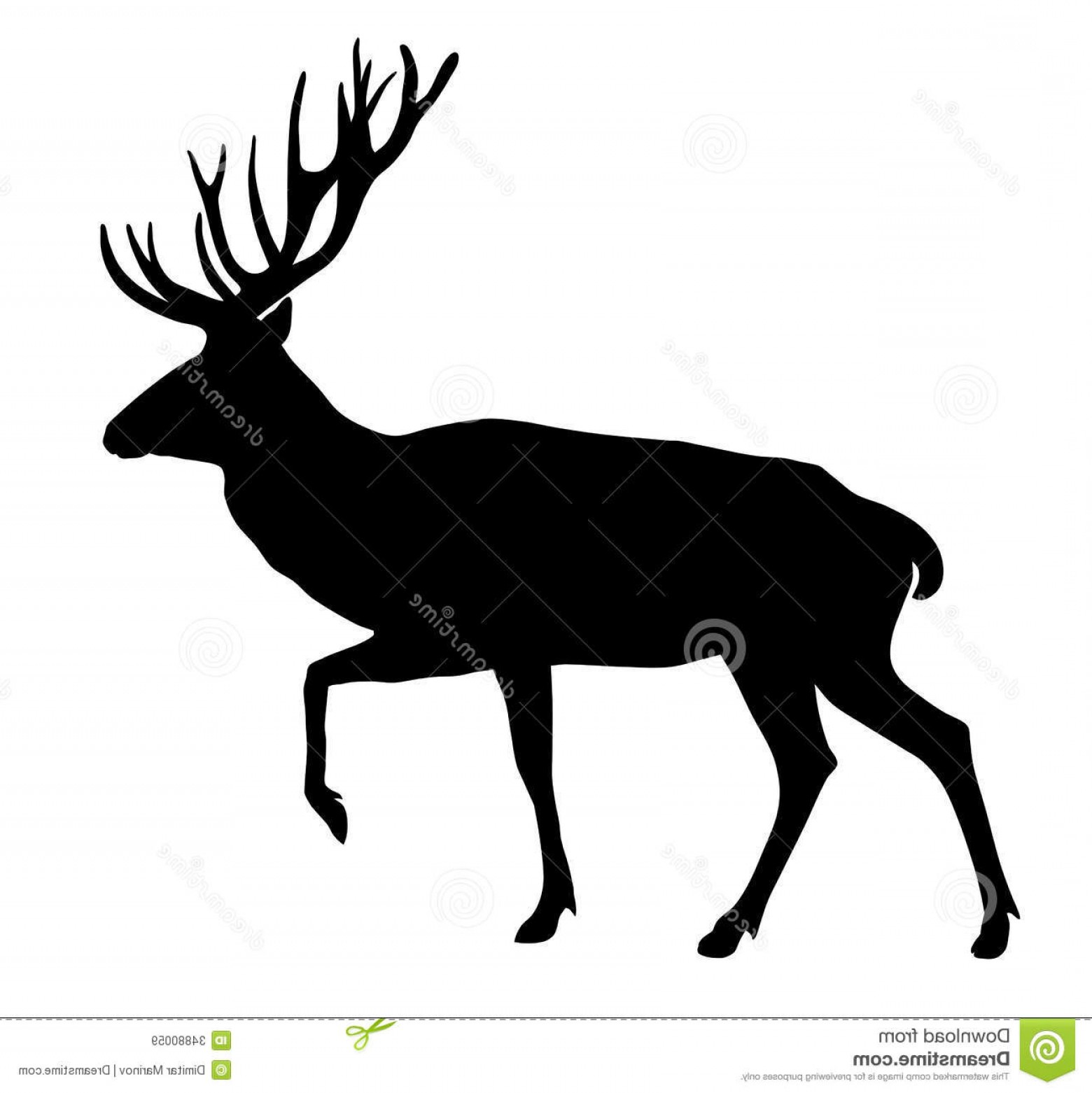 1560x1562 Royalty Free Stock Images Deer Vector Illustration Silhouette