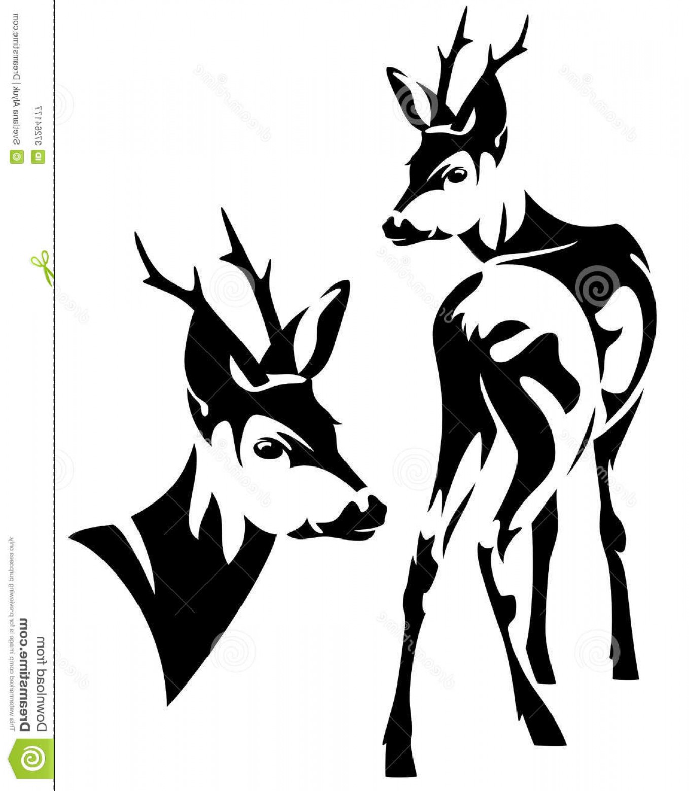 Royalty Free Stock Photography Roe Deer Elegant Capreolus 1358x1560 Royalty Free Stock Photography Roe Deer Elegant Capreolus