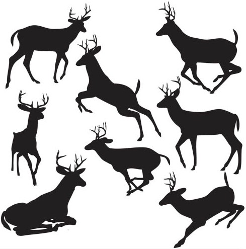 489x495 Silhouettes Deer Design Vectors Free Download