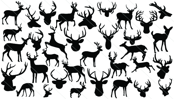610x350 Vector Deer Silhouette