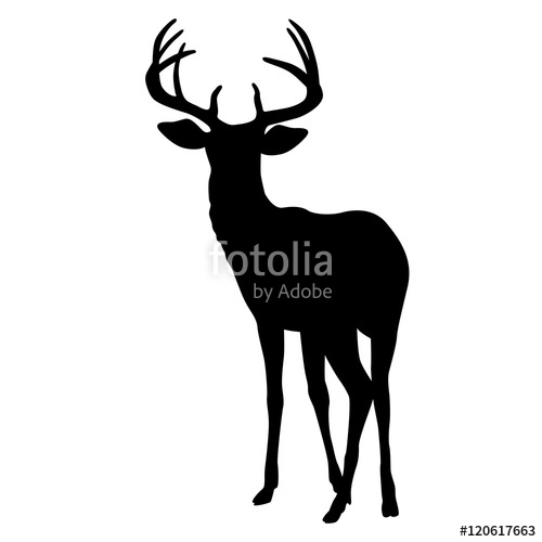 500x500 Deer Vector Illustration Silhouette Black Front Stock Image