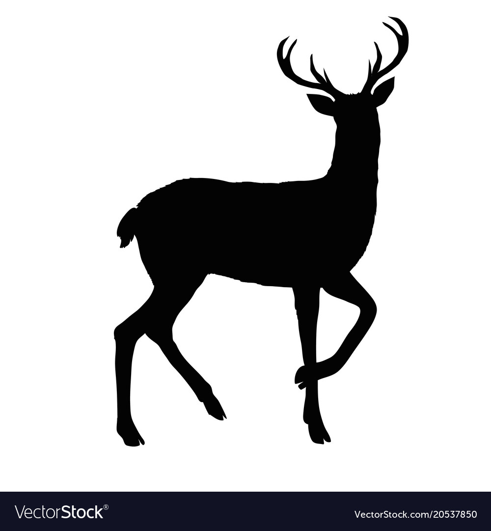 1000x1080 Collection Of 'deer Silhouette Vector Free' Download More Than