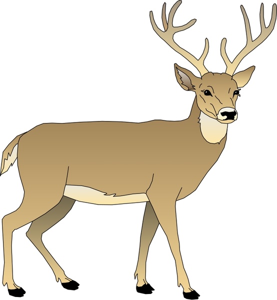 554x600 Deer Free Vector In Open Office Drawing