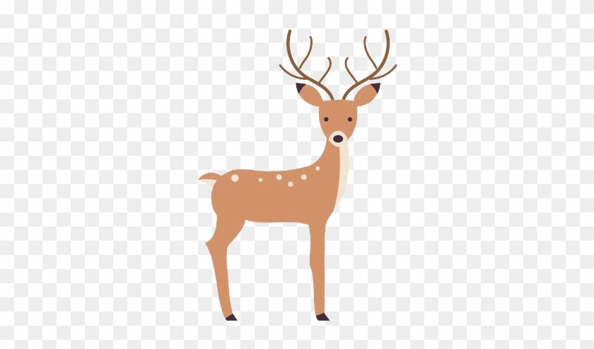 Deer Vector, Hd Png Download 840x493 Deer Vector, Hd Png Download