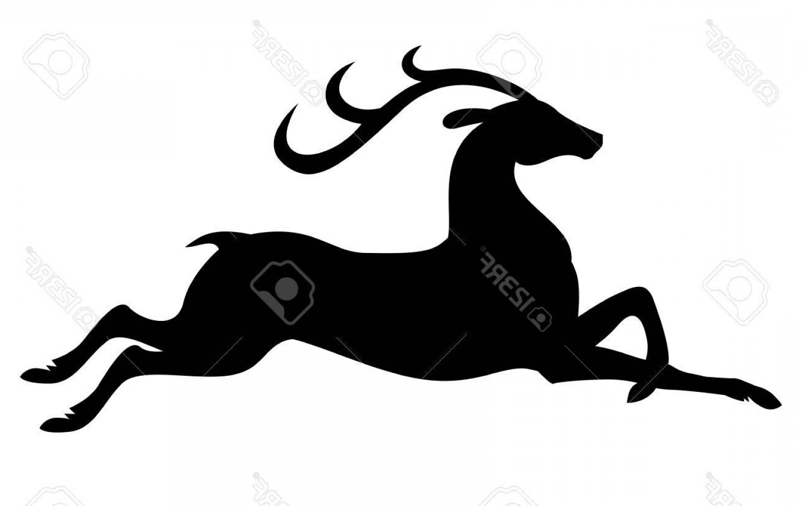 Photostock Vector Vector Illustrations Of Silhouette Of Fly 1560x984 Photostock Vector Vector Illustrations Of Silhouette Of Fly