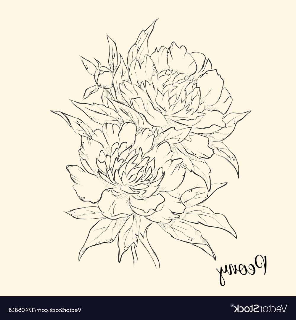Top How To Draw A Flower Vector Cdr Free Vector Art, Images 1000x1080 Top How To Draw A Flower Vector Cdr Free Vector Art, Images
