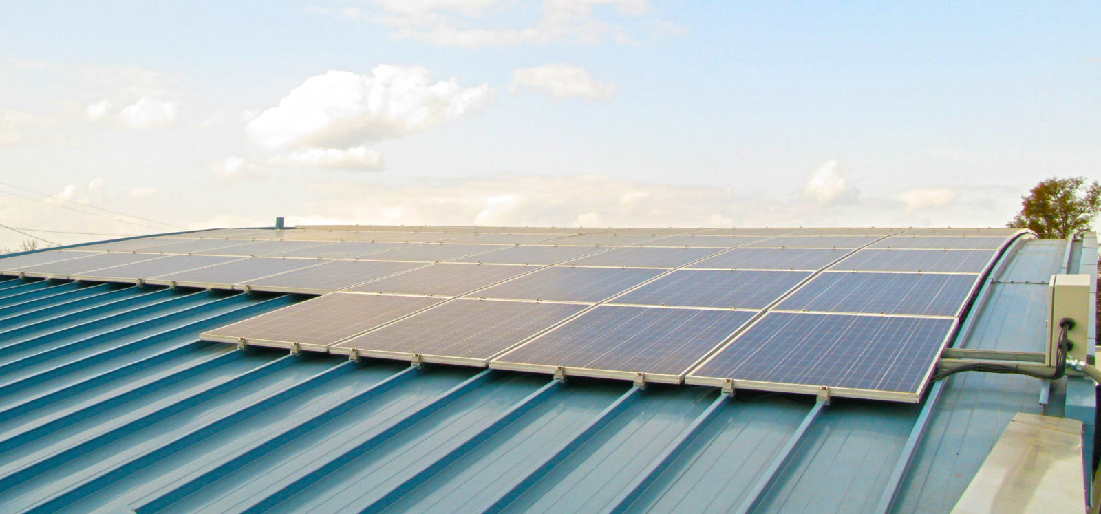 1600x747 Delta Vector Control District Hayashida