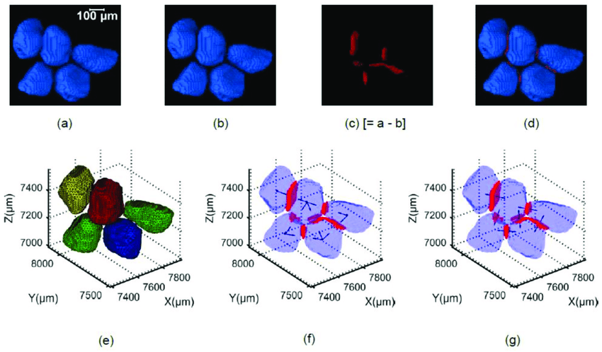 850x498 Demonstration Of Steps Involved In Determining Coordination Number