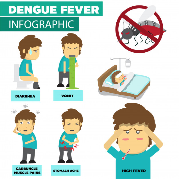 626x626 Dengue Fever Vector Premium Download
