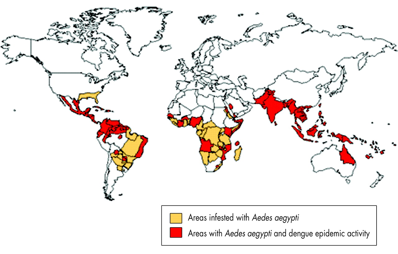 1280x817 Dengue Viral Infections Postgraduate Medical Journal