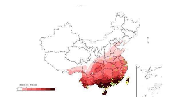 600x338 Distribution Areas Of Dengue Fever And Its Vector