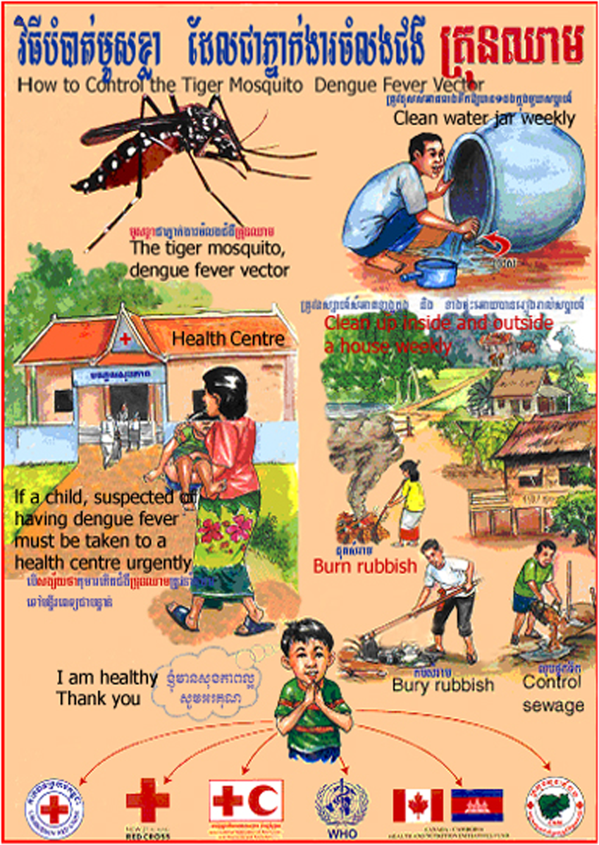 850x1198 How To Control The Tiger Mosquito Dengue Fever Vector