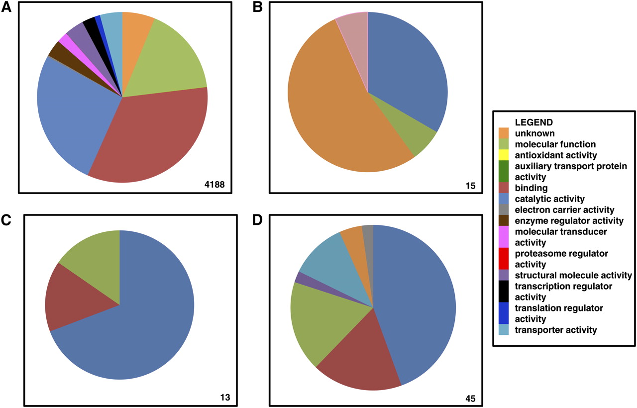 1280x820 Strain Variation In The Transcriptome Of The Dengue Fever Vector