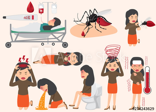 500x360 Template Design Of Details Dengue Fever Or Flu And Symptoms