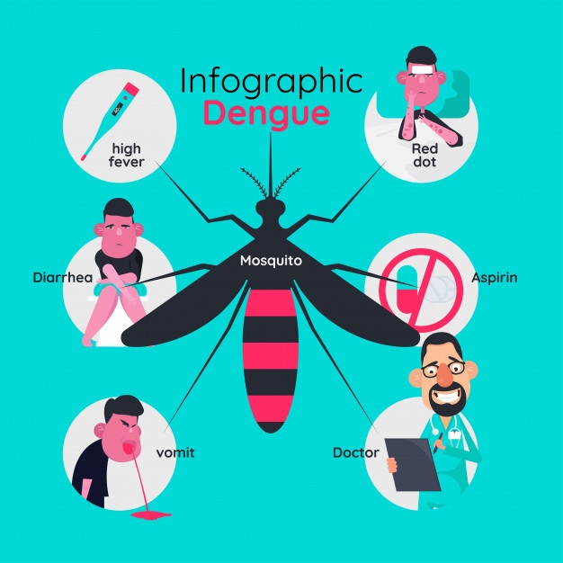 626x626 Dengue Vectors, Photos And Free Download