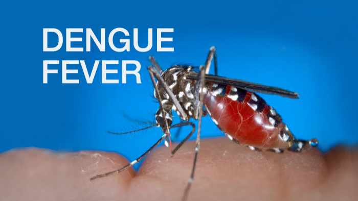 700x394 Dengue Fever What You Need To Know Mayo Clinic News Network