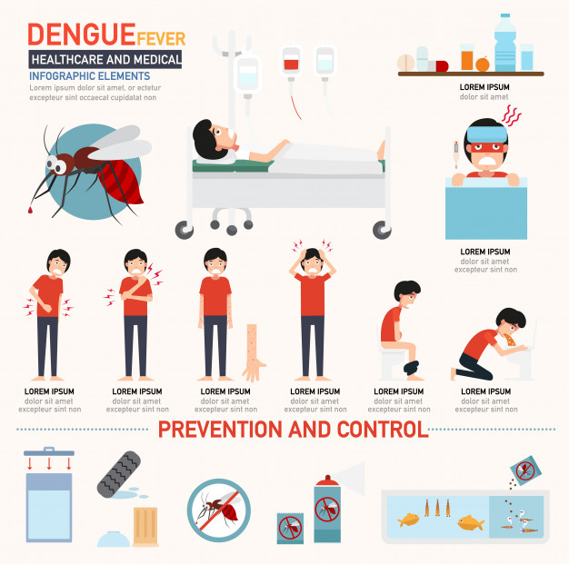 626x621 Dengue Fever Infographics Vector Premium Download