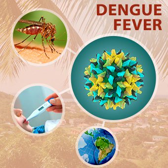 340x340 Dengue Fever Symptoms, Causes, Contagious, Rash, Prevention Vaccine