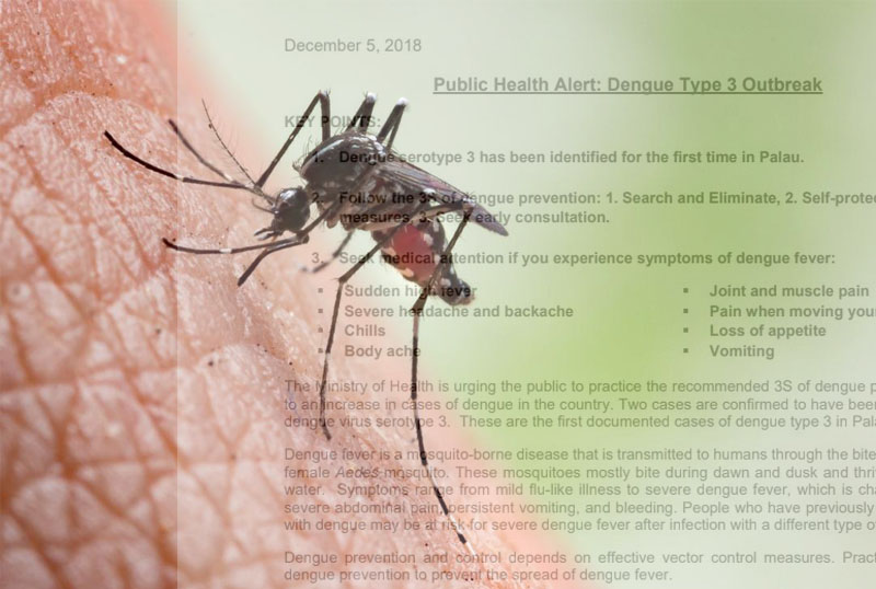 800x538 Dengue Serotype Virus Hits Palau For The First Time