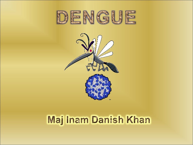 638x479 Dengue