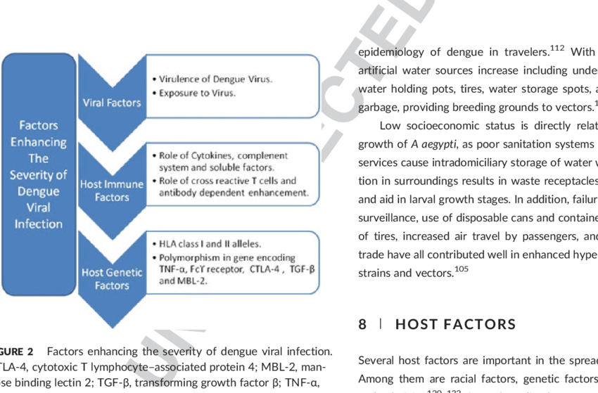 850x559 Enzootic And Urban Cycle Of Dengue Virus Transmission