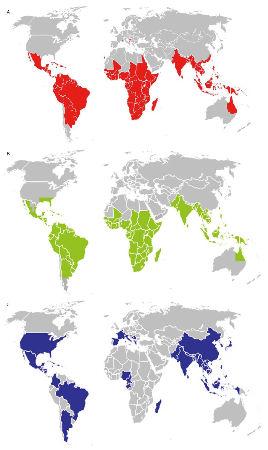 897x1506 Is Transfusion Transmitted Dengue Fever A Potential Public Health