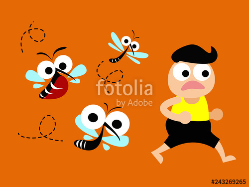 500x375 Mosquito The Carrier Of Dengue Fever And Zika Virus Mosquito