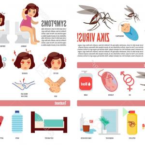 300x300 Photostock Vector Zika Virus And Dengue Virus Infographic