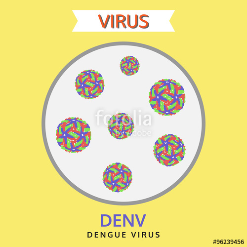 500x500 Dengue Virus, Denv Virus, Vector Illustration Stock Image