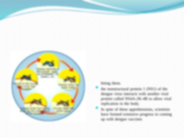 640x480 Dengue Virus Pptx