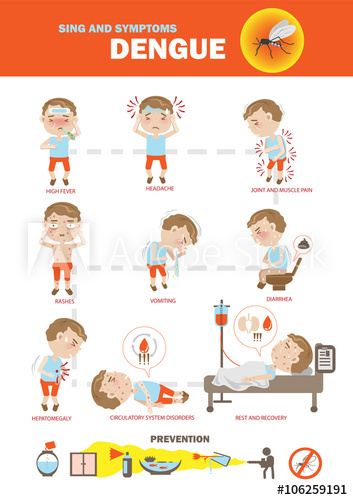 353x500 Dengue Fever Symptoms Info Graphics And Icon Prevention Vector