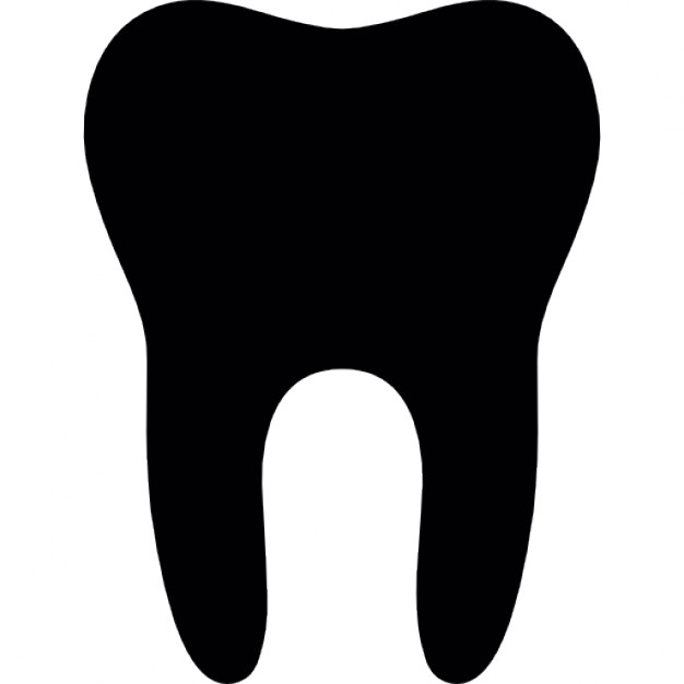 626x626 Tooth Icon Vector