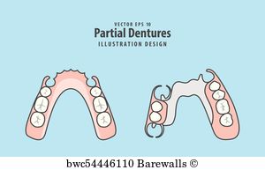 Denture Vector